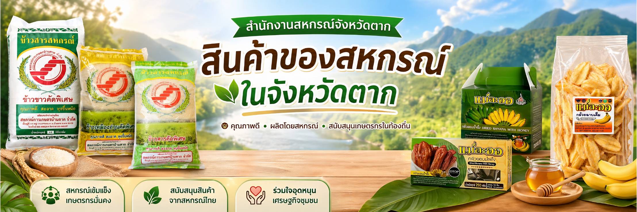 TAKcooeoddd141293