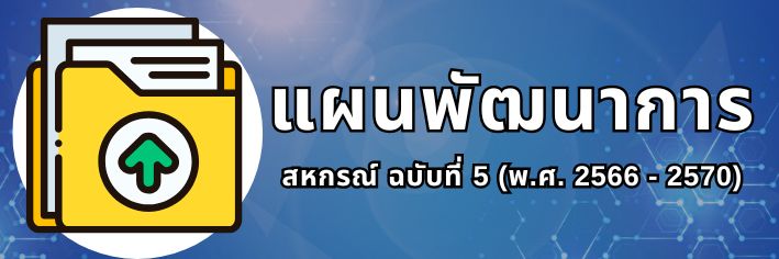 แผนพัฒนา