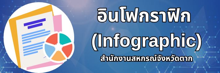 อินโฟกราฟิก