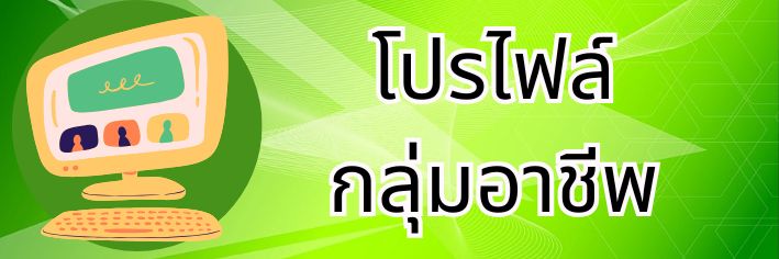 โปรไฟล์อาชีพ
