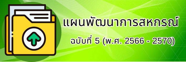 แผนพัฒนา