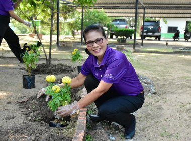 กิจกรรมวันรักต้นไม้ประจำปีของชาติ พ.ศ. 2568 ... พารามิเตอร์รูปภาพ 1