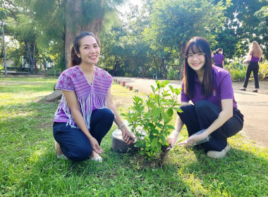 กิจกรรมวันรักต้นไม้ประจำปีของชาติ พ.ศ. 2568 ... พารามิเตอร์รูปภาพ 5