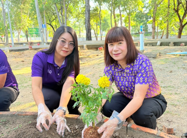 กิจกรรมวันรักต้นไม้ประจำปีของชาติ พ.ศ. 2568 ... พารามิเตอร์รูปภาพ 3