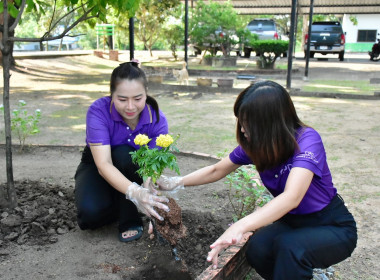 กิจกรรมวันรักต้นไม้ประจำปีของชาติ พ.ศ. 2568 ... พารามิเตอร์รูปภาพ 7