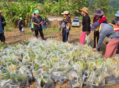 โครงการประชุมเชิงปฏิบัติการเพื่อพัฒนาศักยภาพการรวมกลุ่มอาชีพในการสร้างแบรนด์ ... พารามิเตอร์รูปภาพ 3