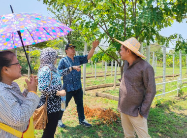 ลงพื้นที่ตรวจเยี่ยมการดำเนินงานของวิสาหกิจชุมชนศาสตร์พระราชาบ้านมั่นคงเมืองแม่สอด ... พารามิเตอร์รูปภาพ 2