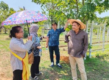ลงพื้นที่ตรวจเยี่ยมการดำเนินงานของวิสาหกิจชุมชนศาสตร์พระราชาบ้านมั่นคงเมืองแม่สอด ... พารามิเตอร์รูปภาพ 1